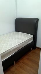 The Plaza (D7), Apartment #552999881